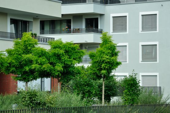 Umgebung Wohnsiedlung I, Winterthur